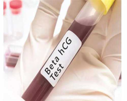 桑椹胚着床时间解析与助孕指南