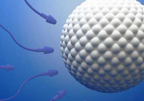 第三代试管婴儿技术优势解析与捐卵服务指南