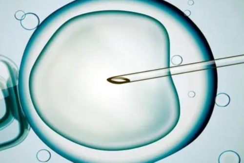 三代试管移植时机详解与专业指南