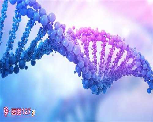 提升高龄试管成功率的三大秘诀与经验分享