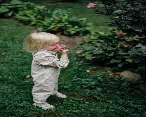 试管婴儿成功率如何提升？专家分享高效方法