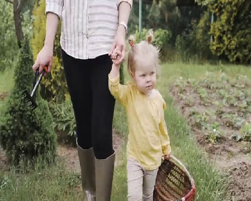 江西代生代怀助孕：生命起源与宇宙命运的哲学探讨